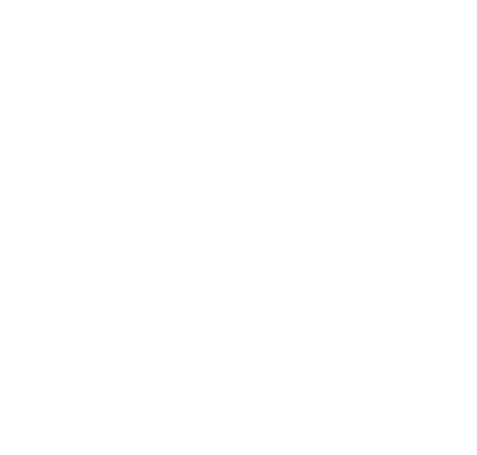 Logo de la Distillerie Saint-denis